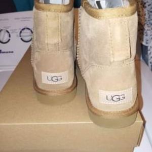 Classic mini UGG boots